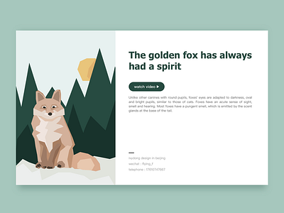 Golden fox design illustration