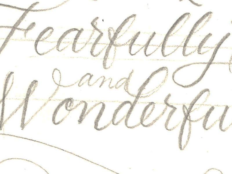 Fearfully And Wonderfully Made