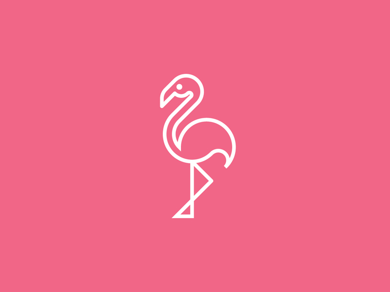 Flamingo by aninndesign on Dribbble