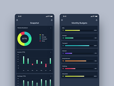 Mobile Budget Tracker budget charts dark mobile design statistics ui ui design uiux ux ux design