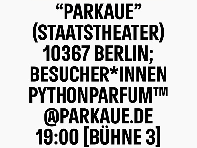 DS Parkaue – Bespoke typeface