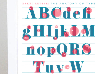 The Naked Letter anatomy blue design illustrator letterform pink poster print quiz type typography vintage