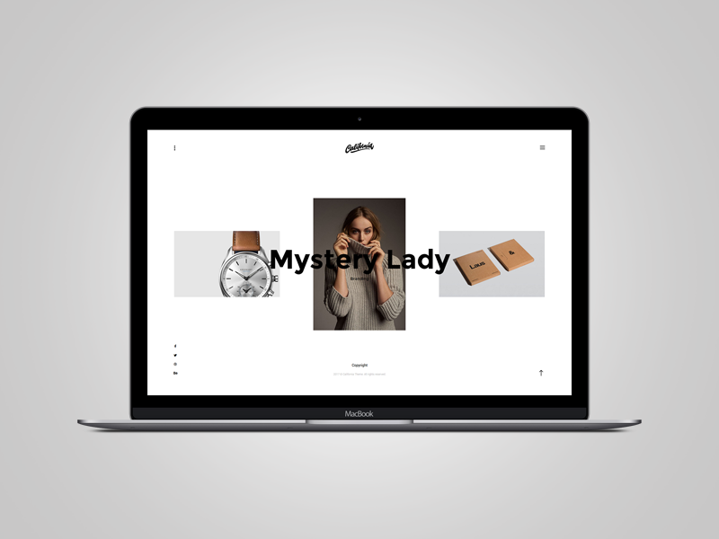 California Portfolio agency photography clapat grid portfolio prallax
