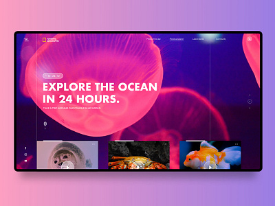 National Geographic Concept ocean responsive screen ui ux website