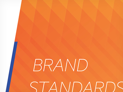 N-FORS Brand Standards Guide brand standards guide emergency performance n fors pattern sagetopia