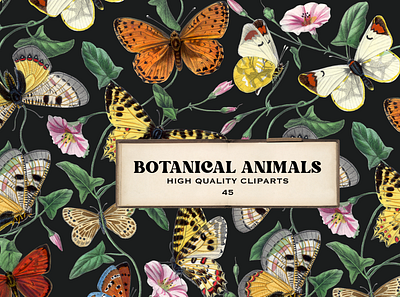 Botanical Animals Vintage PNG Elements animals clipart butterflies collage art design elements vintage pngs