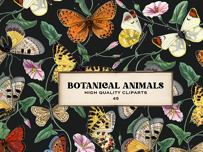 Botanical Animals Vintage PNG Elements