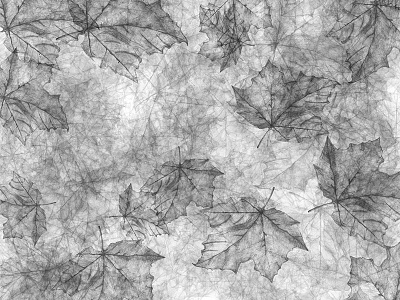 Leaves drawing generative processing