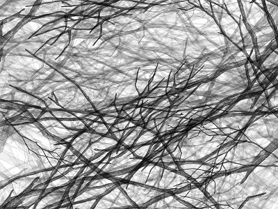 Branches drawing generative processing