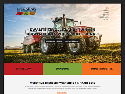 Website Lieckens