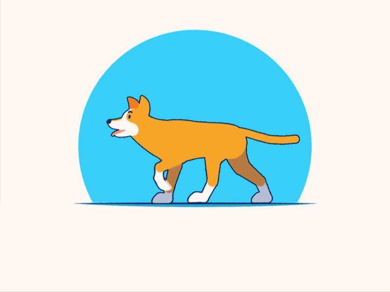 Walking Dog animation character design dog flat illustration loop pet walk walkcycle