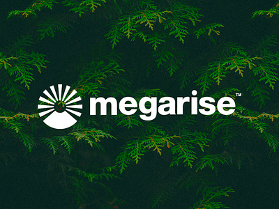 Megarise Logo.