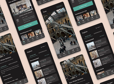 Museum App colour colours design louvre museum museum app typography ui ui design user experience ux