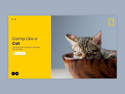 Camp like a cat branding clean design graphic design illustrator minimal sketch typography ui web website