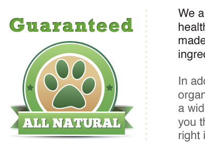 Detail of natural pet store website clean design green icon pet seal web