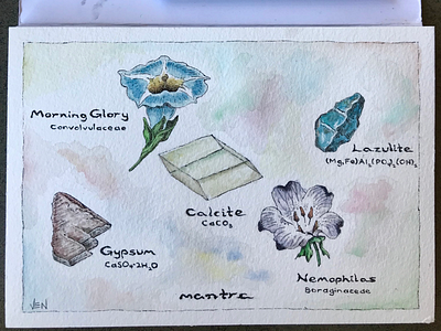 Flowers and Minerals