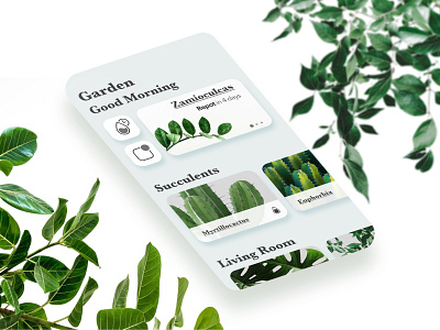 Garden prototype app affinitydesigner app database design green minimal minimalism mock up mockup plant prototype shadows succulents typography ui ux