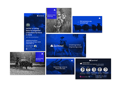 Sentinel Chain creative assets blue blue and white marketing collateral