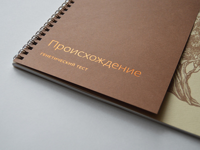 Corporate Identity for «Происхождение» #1 box branding broshure design illustration minimal polygraphy