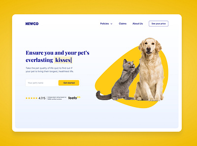 Pet Insurance UI Concept colourful insurance landing page design landingpage pets ui design uidesign