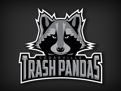 Trash Pandas illustrator logo raccoon sports logo trash panda vector