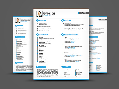 Professional Resume Template adobe photoshop biodata cv profile resume