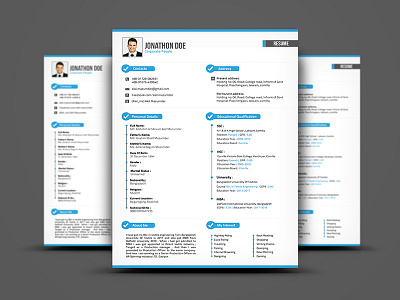 Professional Resume Template