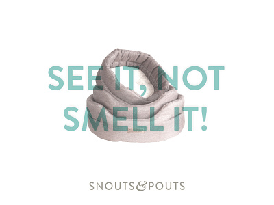 Snouts & Pouts Dog Beds anti odour campaign dog beds dogs pet products smell