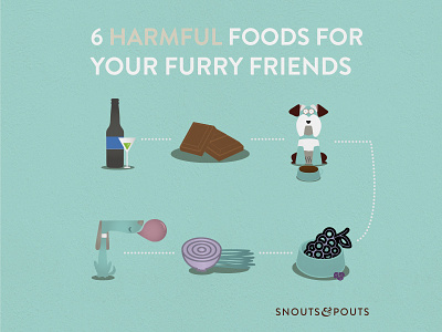 Snouts & Pouts illustration anti odour dog dog beds illustration infographic