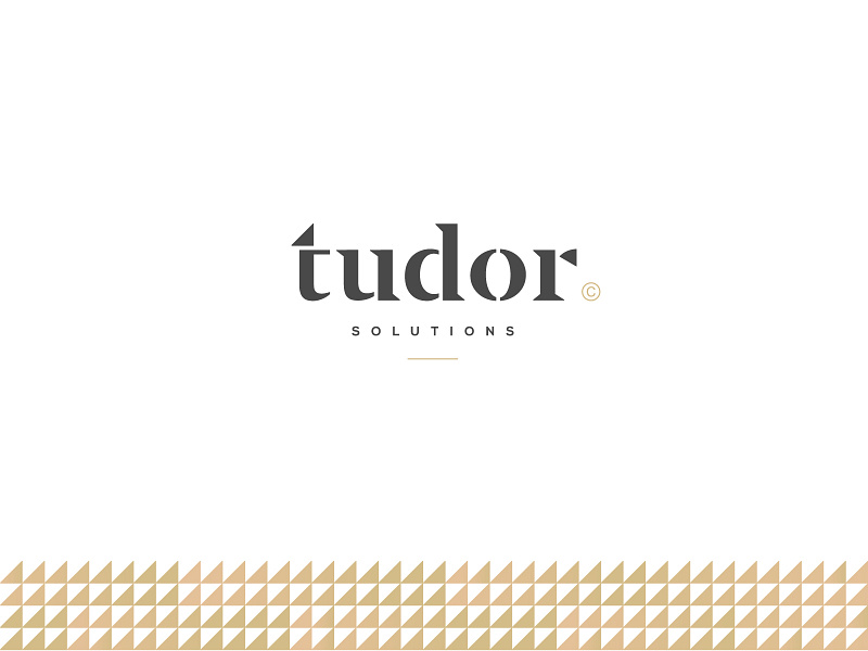 Tudor Solutions - Logo Design by Andrea Binski on Dribbble