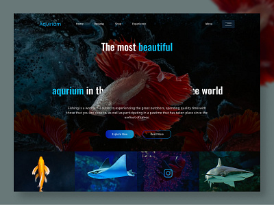 Aqurium Landing page branding graphic design landing landing page landingpage landingpagedesign ui