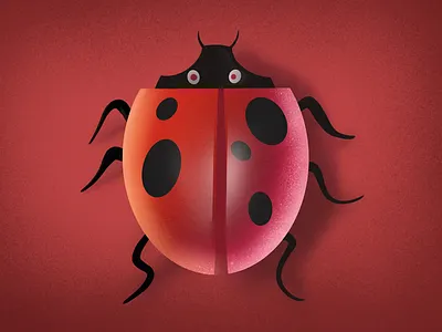 Lady Bird art artwork drawing insects ipad ipad drawing ladybird ladybug noise shadow procreate red sketch wallpaper