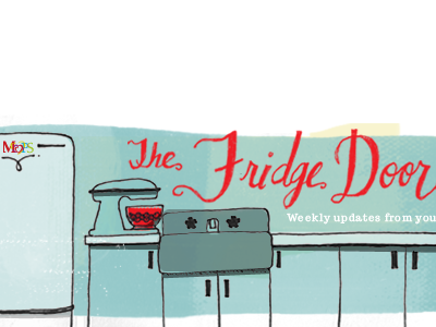 Fridge Door banner fridge mops red teal vintage kitchen web