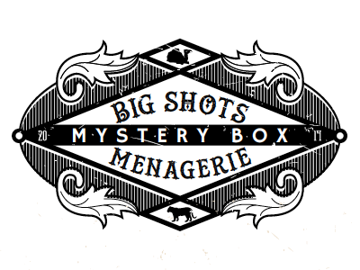 Big Shots big brothers big sisters brand event fundraiser logo menagerie