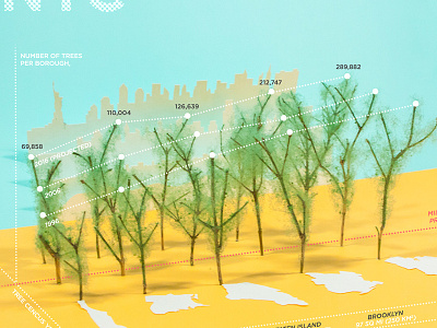Million Trees NYC infographics paper school project
