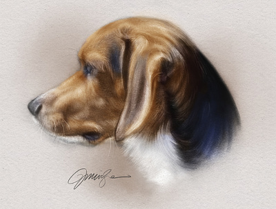 Beagle Portrait beagle dog pets portrait procreate profile