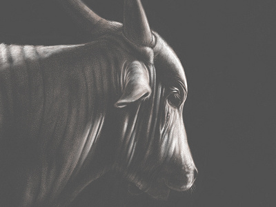 Brahman Cow adobesketch cow dark digital drawing sketch
