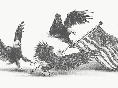 Plethora Patriot adobe sketch america art eagle feathers flag talons torn