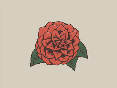 Camellia - Alabama State Flower alabama camellia floral flower illustration illustrator