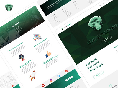 Clever Monkeys desing developement green layout single page social landing