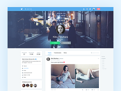 Twitter User Profile Redesign design profile redesign social twitter user web website