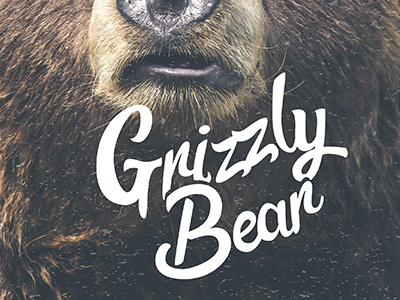 Grizzly Bear grizzly bear hand lettering lettering type typography