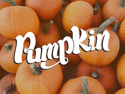 Pumpkin hand lettering lettering orange photagraphy pumpkin type typography