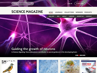 Branding/Identity Redesign branding idenitity magazine cover redesign science website