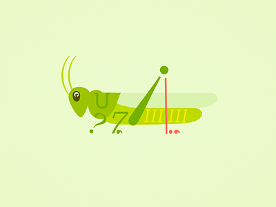 Glyphhopper animal bug creature critter design fonts fontspring grasshopper illustration insect nature spring typography