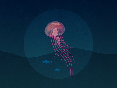 Jellyfish jellyfish ocean under water