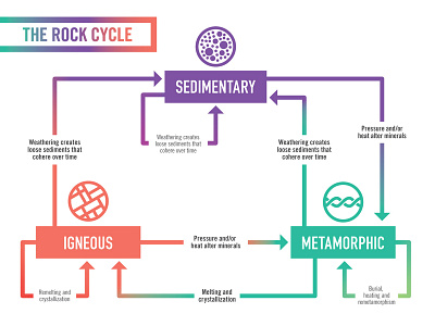 The Rock Cycle Diagram design education educational geology igneous infographic information design metamorphic rock cycle rocks science sedimentary vector