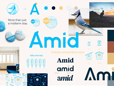 Amid Exploration amid assets bird bird house blue jay bnb branding home icon illustration monoline national playful process