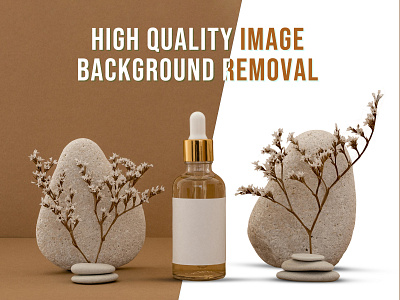 Background Removal background removal background remove clipping path photo editing white background