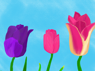 Tulip Illustration flower illustration tulip